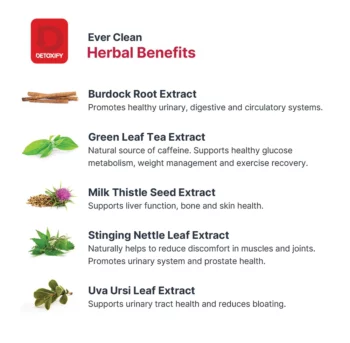 Detoxify EverClean Cleansing Program