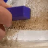 Deez Smoke Shop - BoruBuddy Magnetic Cleaner Deez Smoke Shop - BoruBuddy Magnetic Cleaner