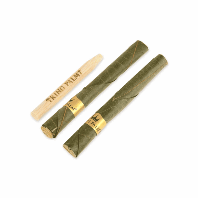 King Palm Mini - Red Reign