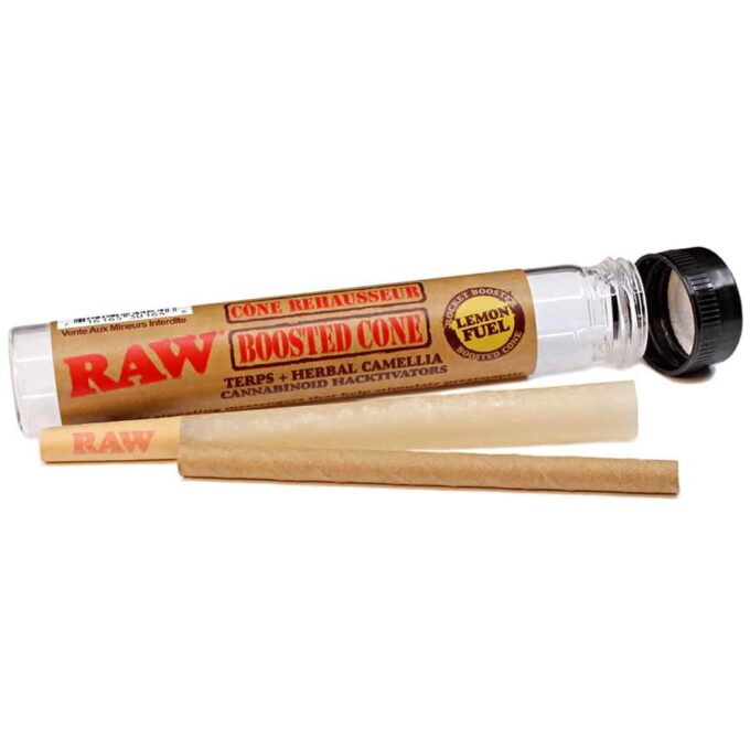 Epic Wholesale - RAW Lemon Fuel Cones