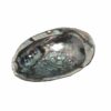 Epic Wholesale - Shaman's Choice Shell Epic Wholesale - Shaman's Choice Shell