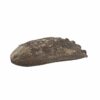Epic Wholesale - Shaman's Choice Shell Epic Wholesale - Shaman's Choice Shell