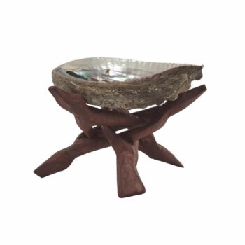 Epic Wholesale - Shaman's Choice Shell Stand