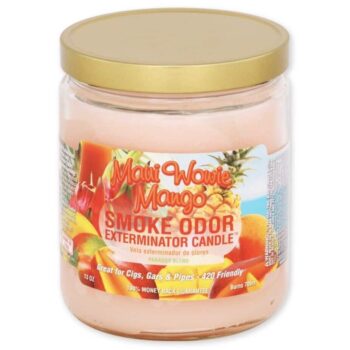 Epic Wholesale - Smoke Odor Eliminator Candle