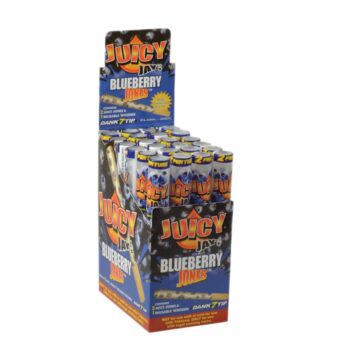 Juicy Jay's Blueberry Cones
