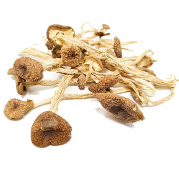 Shrooms