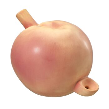 Epic Wholesale -- Peach Pipe