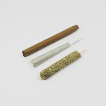Deez Smoke Shop - Purple Rose Supply CannaMold