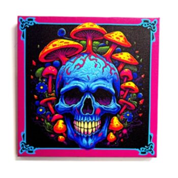 Skull Mushroom Canvas