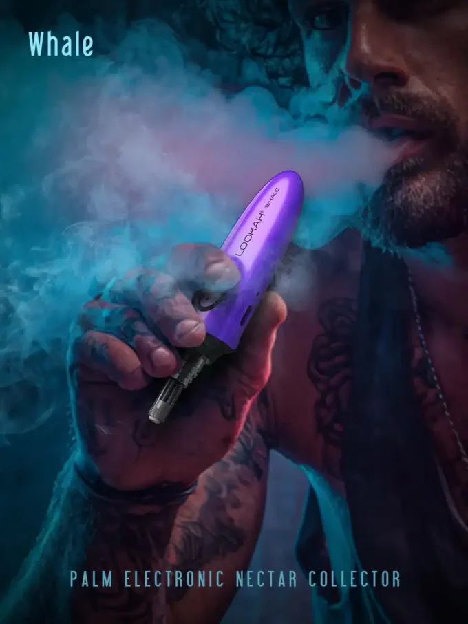 Lookah Nectar Collector Whale - Gray