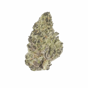 Gas Boys Purple Dream THCA Flower 3.5g – Indica