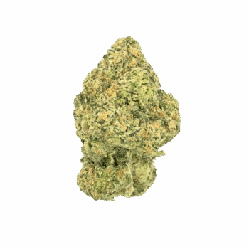 Gas Boys Raspberry Gas THCA Flower 3.5g | Hybrid Strain