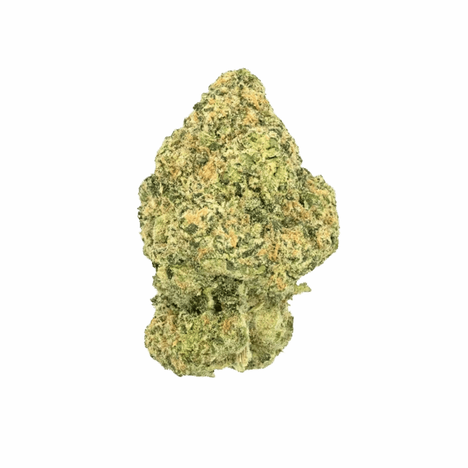 Raspberry_Gas_Flower_1_copy Gas Boys Raspberry Gas THCA Flower 3.5g | Hybrid Strain